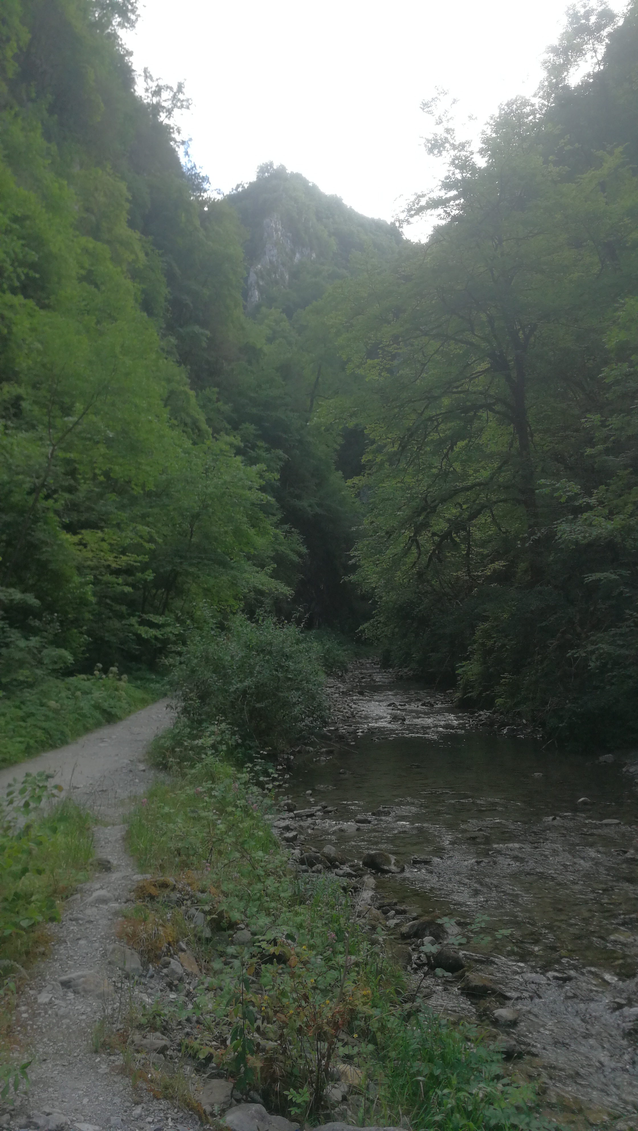 Photo n° 47 de l'avis de Corentin.t fait le 17/07/2019 à 21:16