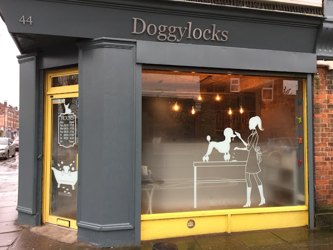 Reviews of Doggylocks in London - Dog trainer