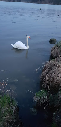 Photos des visiteurs Ferienwohnung Ferienwohnung Lechbruck am See 86983 Lechbruck