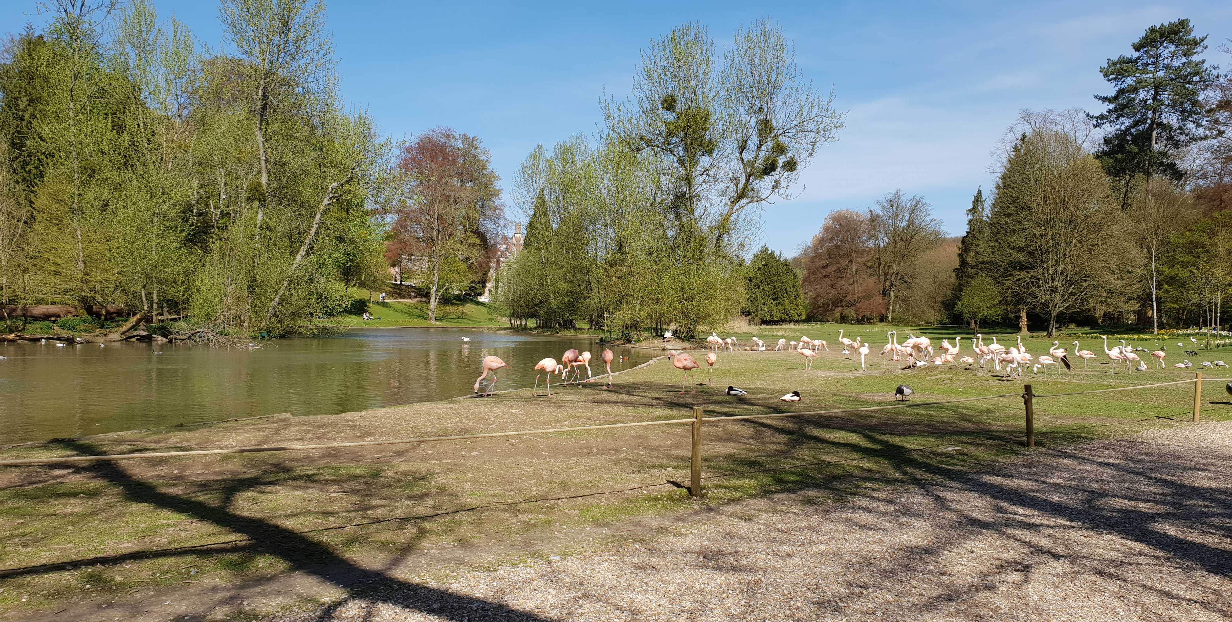 Photo n° 50 de l'avis de Dominique.A fait le 18/04/2018 à 14:35
