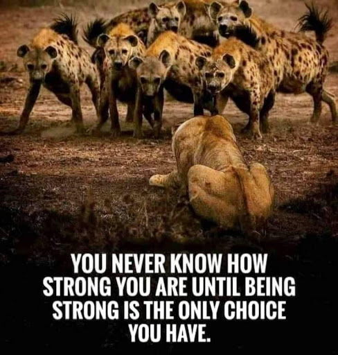 Insurance Agency «Luisa Samuel - State Farm Insurance Agent», reviews and photos