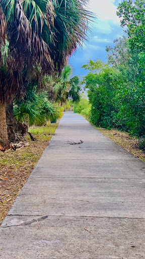 Nature Preserve «Mobbly Bayou Wilderness Preserve», reviews and photos, 423 Lafayette Blvd, Oldsmar, FL 34677, USA