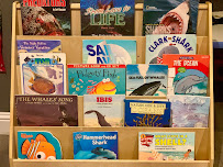 TippiToes Daycare & Preschool - Photo 6 - Car repair in San Mateo, CA, San Mateo