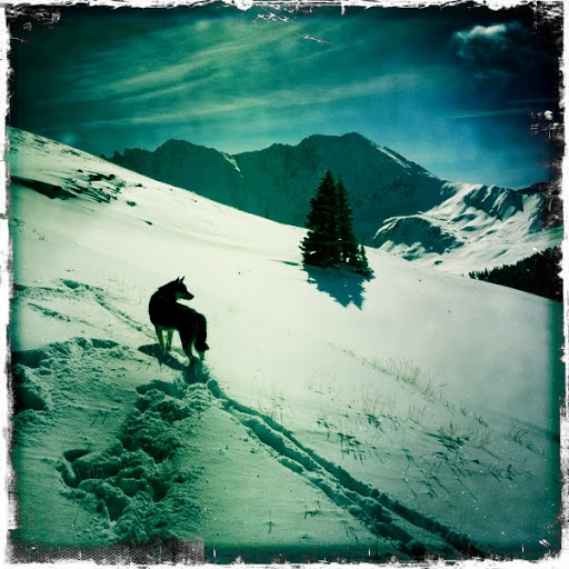 Outdoor Sports Store «Leadville Outdoors and Mountain Market», reviews and photos, 225 Harrison Ave, Leadville, CO 80461, USA