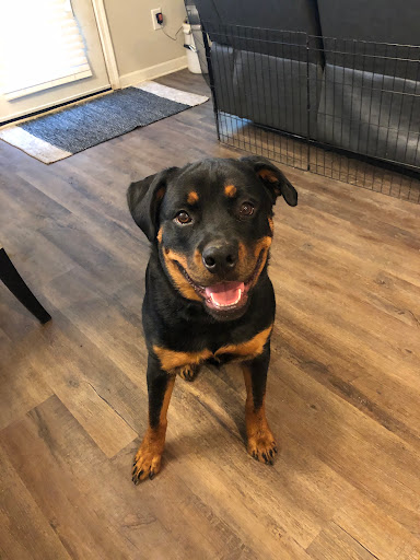 6326 S Lee St, Morrow, GA 30260, USA