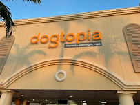 Dogtopia of Fort Myers- Daycare, Boarding, Spa - Photo 2 - Car repair in Fort Myers, FL, Cape Coral