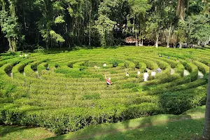 Labirinto Parque Malwee image