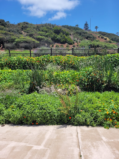 State Park «Moonlight State Beach», reviews and photos, 400 B St, Encinitas, CA 92024, USA