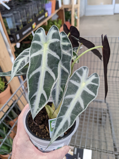 Department Store «Walmart Supercenter», reviews and photos, 1575 Coshocton Ave, Mt Vernon, OH 43050, USA