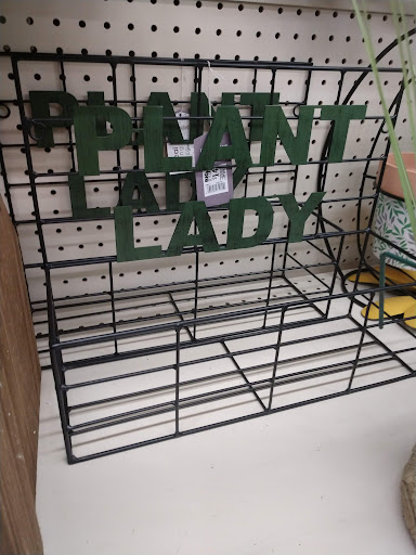 Discount Store «Big Lots», reviews and photos, 2445 Nashville Rd, Bowling Green, KY 42101, USA