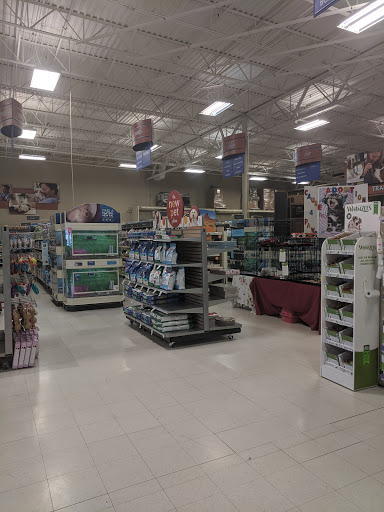 Pet Supply Store «PetSmart», reviews and photos, 1421 Carl D Silver Parkway, Fredericksburg, VA 22401, USA