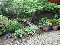 Prevention & Healing Inc - Photo 3 - Car repair in St. Louis, MO, St. Louis