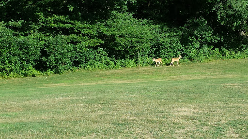 Golf Course «Olde Dutch Mill Golf Course & Sports Bar», reviews and photos, 2745 Grandview Rd, Lake Milton, OH 44429, USA