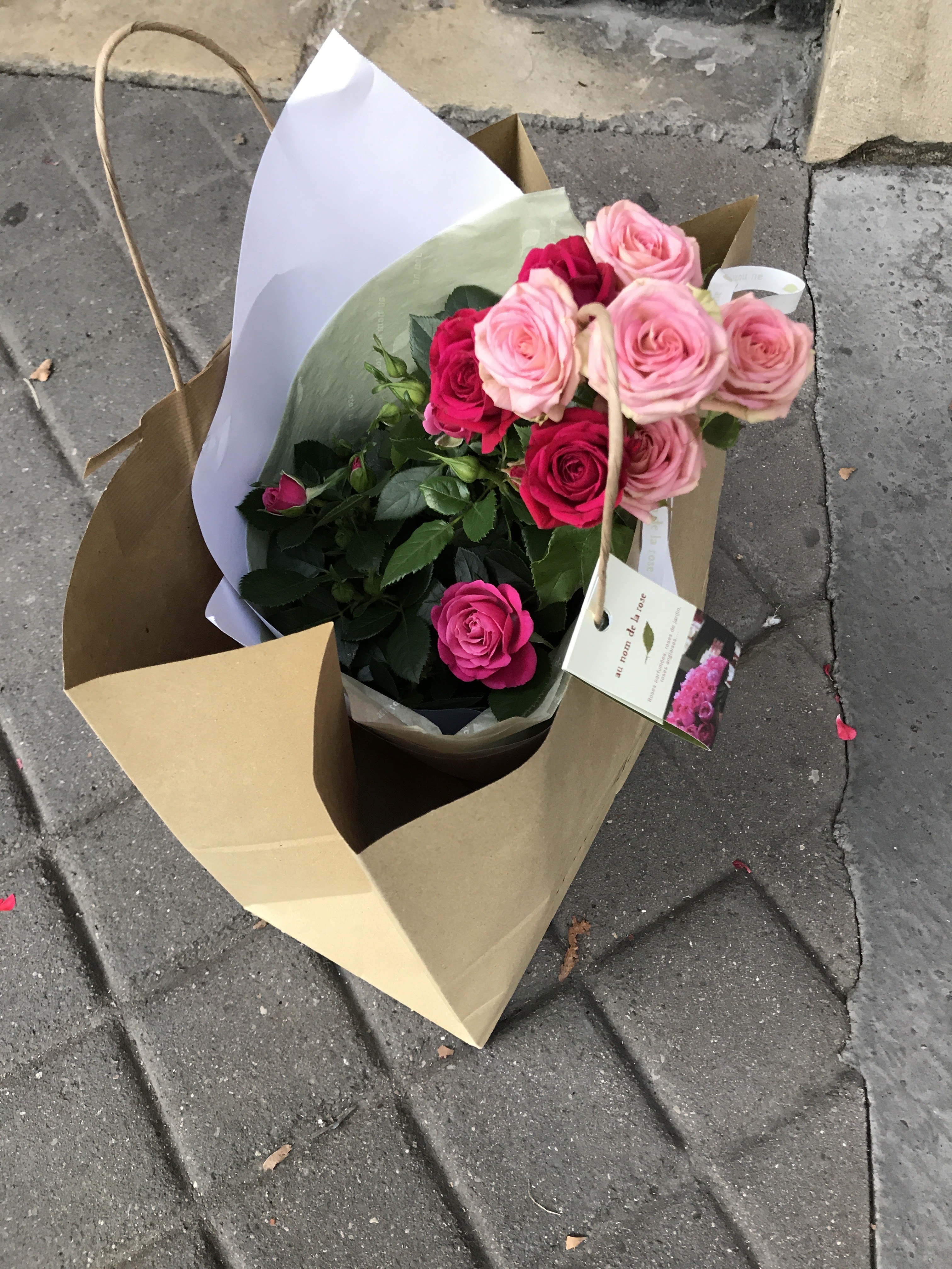 Photo n° 2 de l'avis de Jean-François.O fait le 14/09/2020 à 17:13