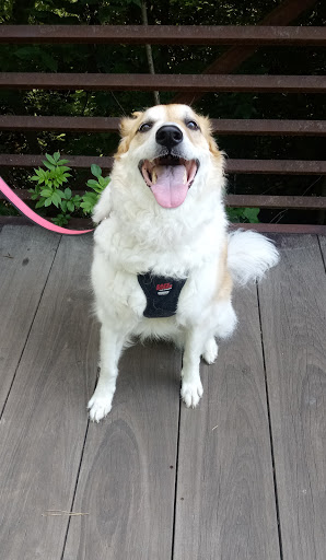 Park «Best Friend Park», reviews and photos, 6224 Jimmy Carter Blvd, Norcross, GA 30071, USA