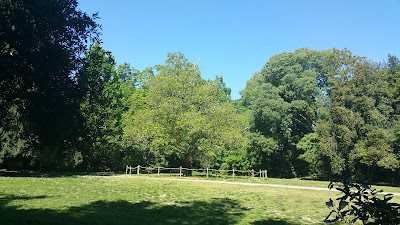 Parc Rivière à Bordeaux