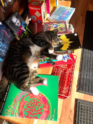 Book Store «Books & Melodies LLC», reviews and photos, 2600 James St, Syracuse, NY 13206, USA