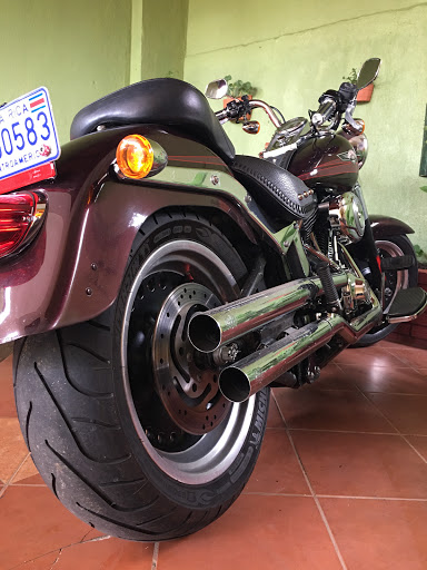 Used Motorcycle Dealer «Top Gear Inc», reviews and photos, 2000 Stirling Rd, Dania Beach, FL 33004, USA