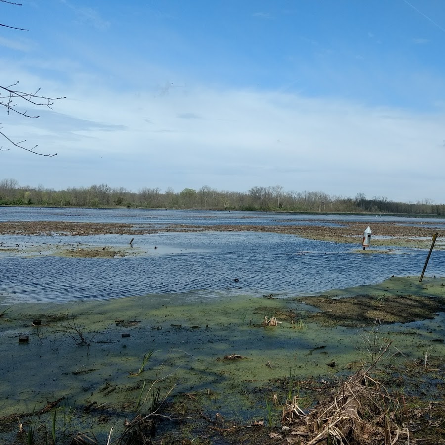 Spring Valley Wildlife Area