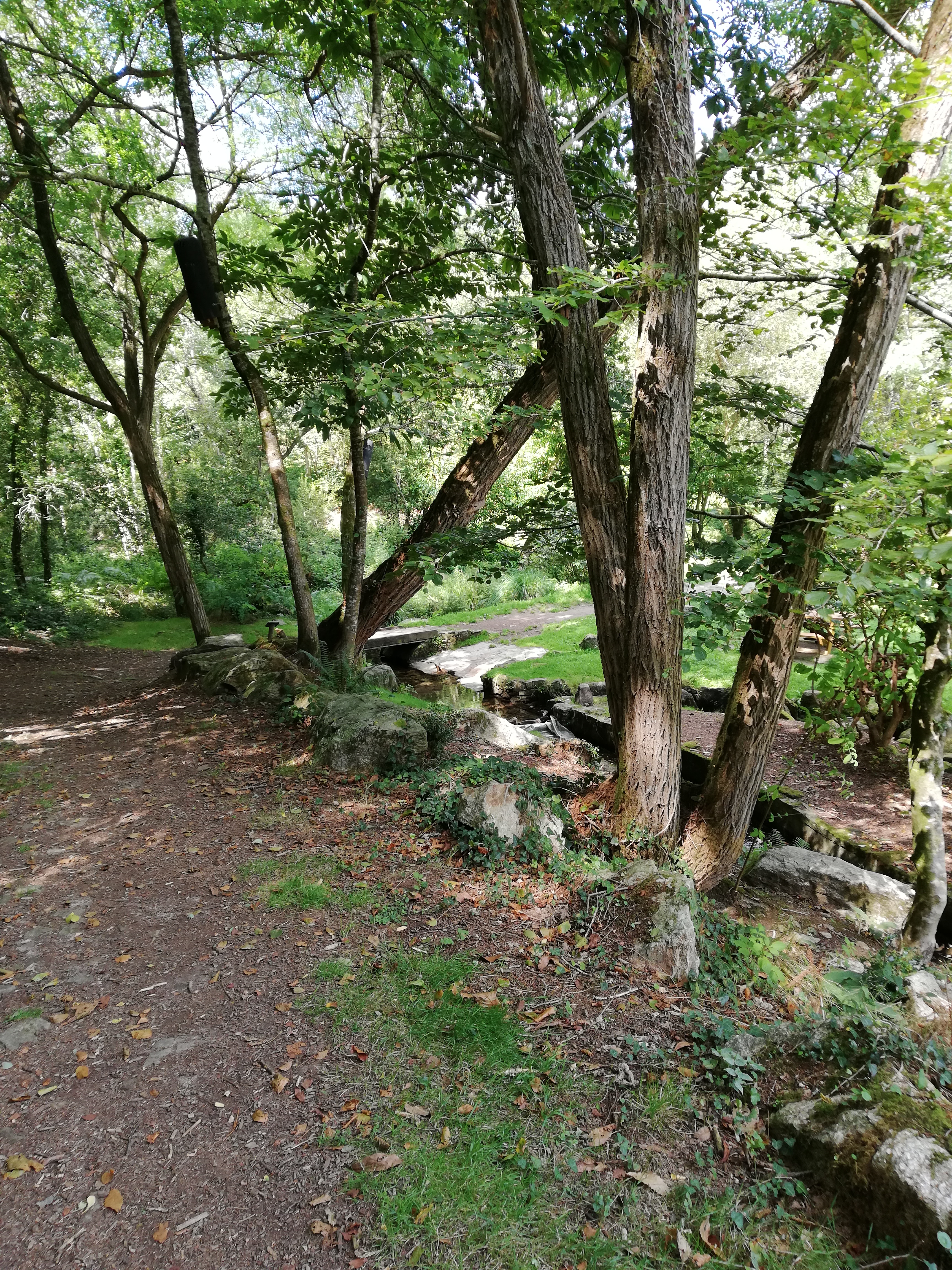 Photo n° 48 de l'avis de Celine.a fait le 17/10/2019 à 06:33