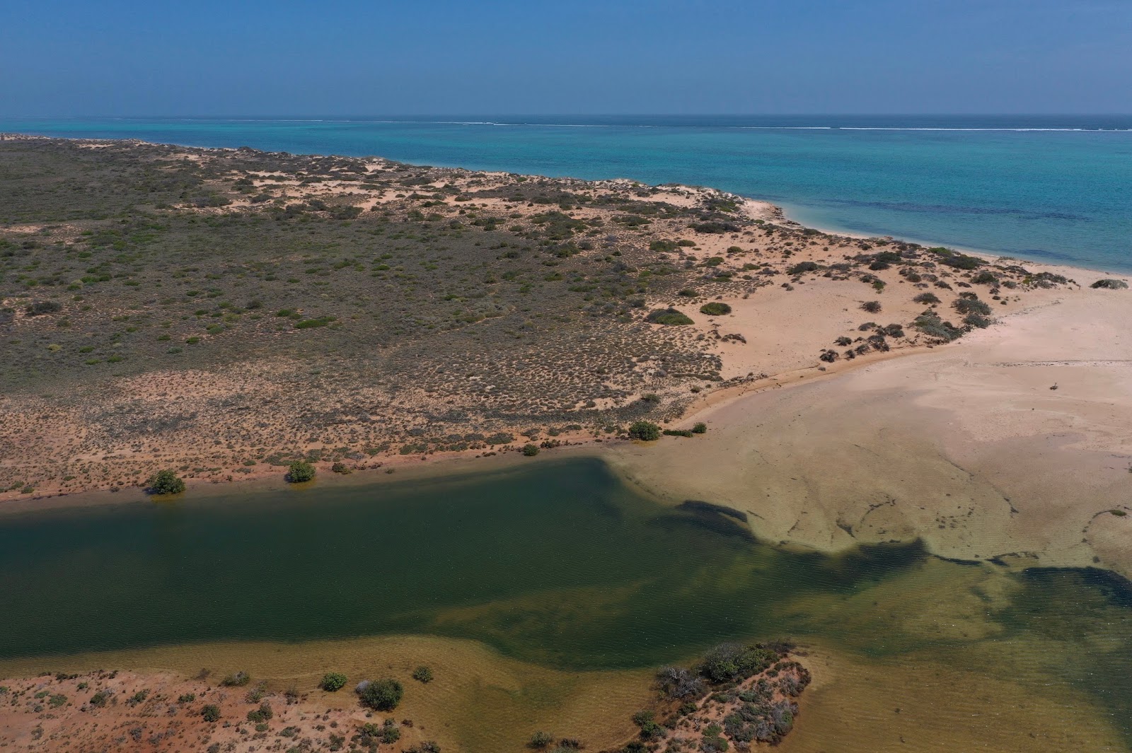 Varanus Beach photo #8