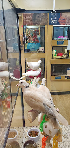 Pet Supply Store «PetSmart», reviews and photos, 777 S Willow St, Manchester, NH 03103, USA