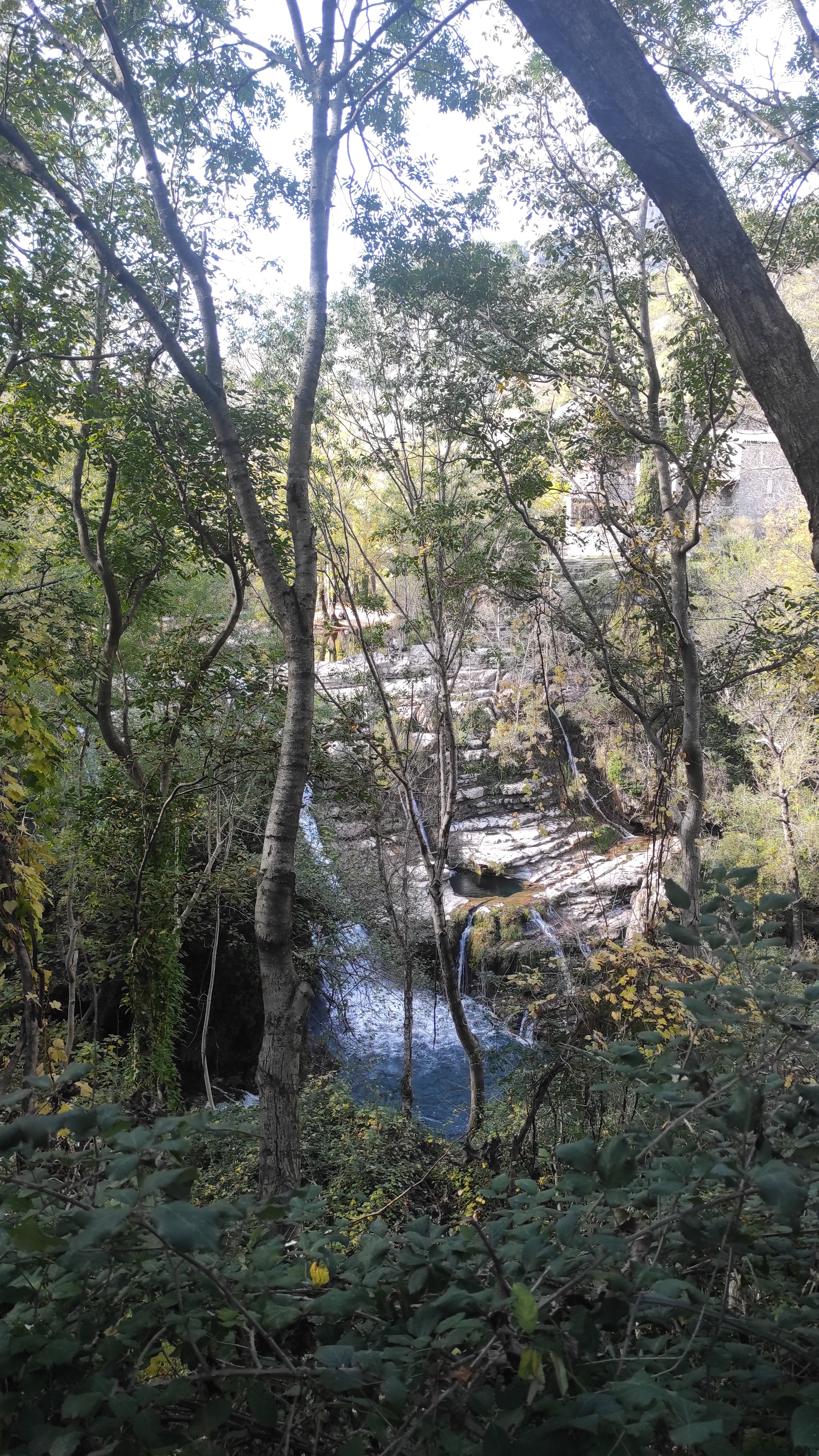 Photo n° 4 de l'avis de Anne.a fait le 05/11/2022 à 20:34