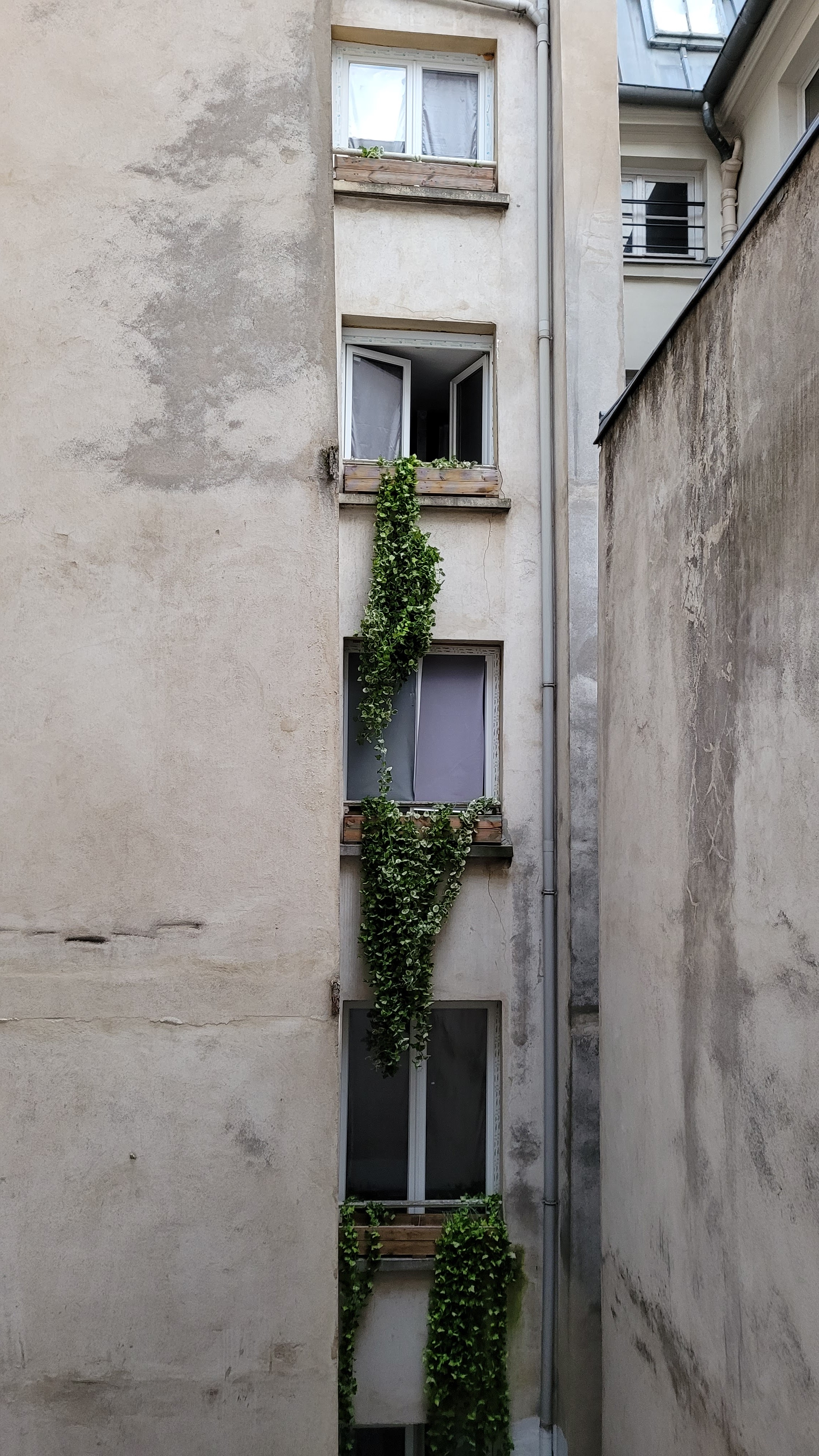 Photo n° 3 de l'avis de Anca-Raluca.o fait le 29/06/2021 à 14:56