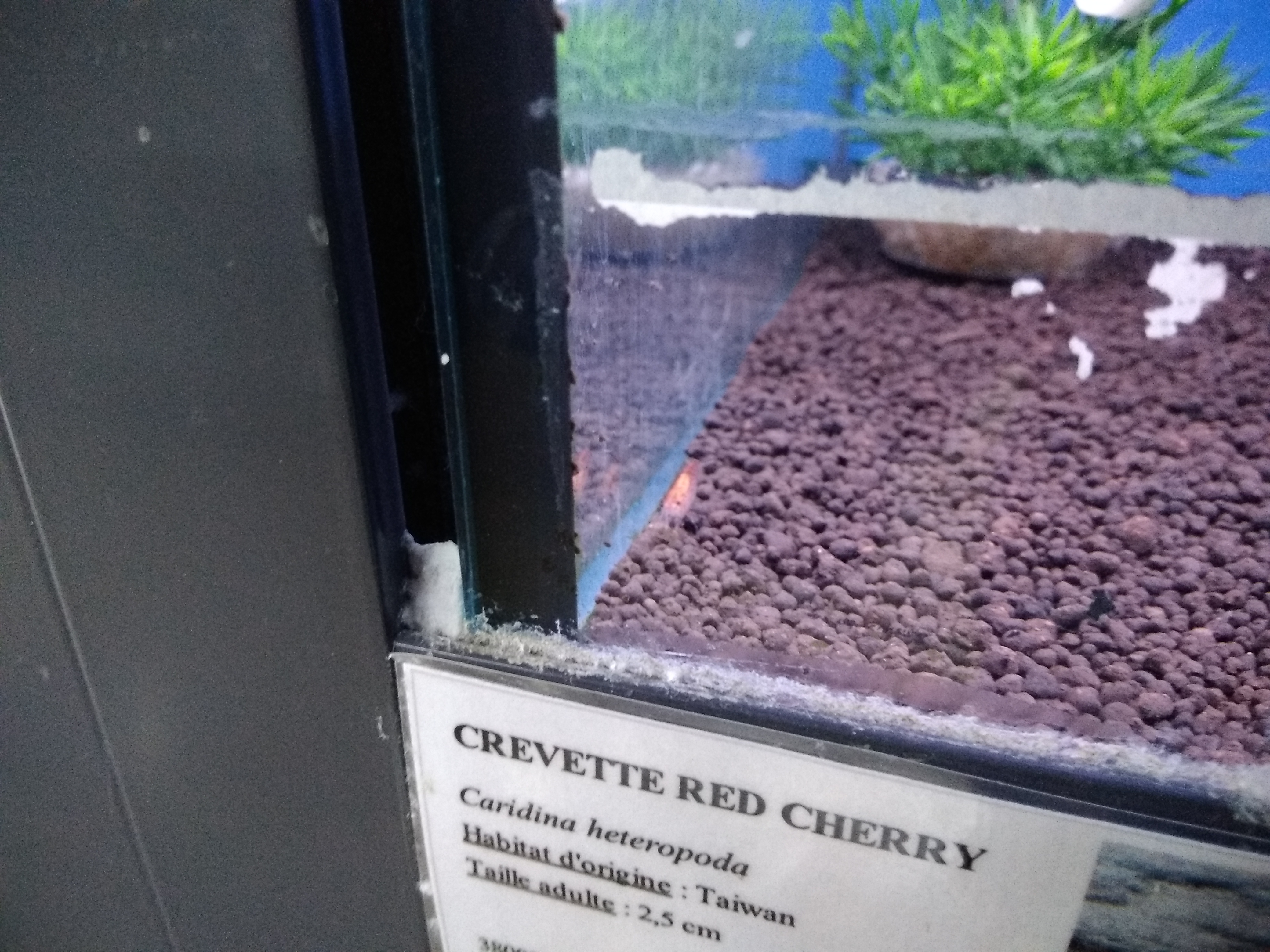 Photo n° 8 de l'avis de Lorenzo.i fait le 04/04/2019 à 11:09