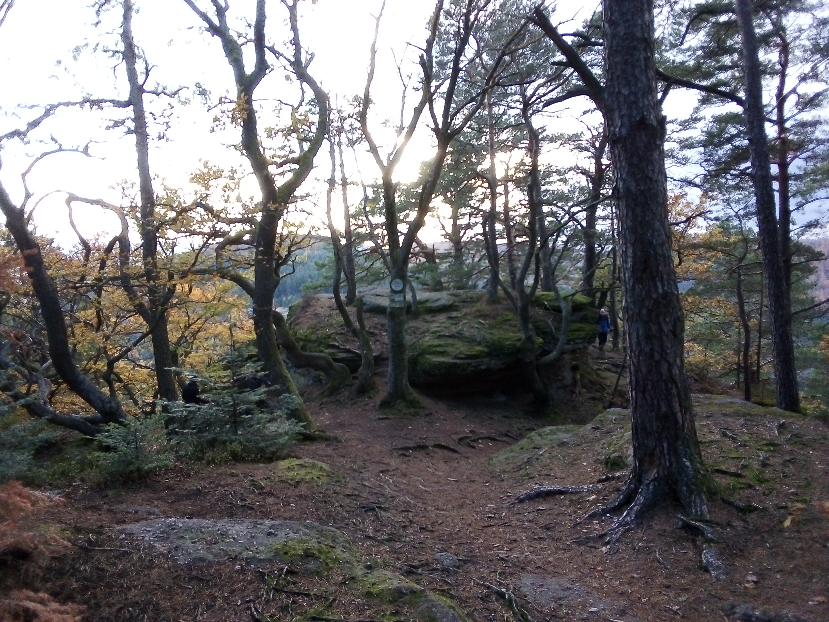Photo n° 4 de l'avis de NICORA.E fait le 09/11/2019 à 15:51
