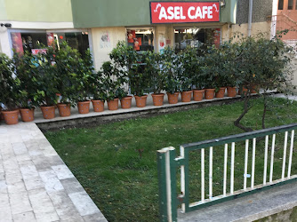 Asel Cafe