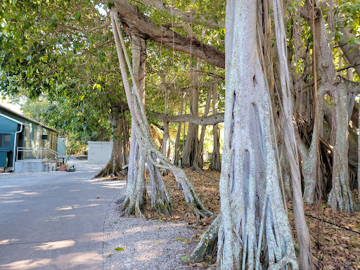 Tourist Attraction «Edison and Ford Winter Estates», reviews and photos, 2350 McGregor Blvd, Fort Myers, FL 33901, USA