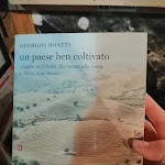 Photo n°14 de l'avis de Daniela.i fait le 24/02/2019 à 15:06 sur le  Il Tipico Calabrese à Cardeto