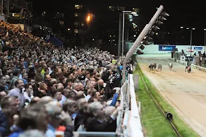 Shelbourne Park Greyhound Stadium image