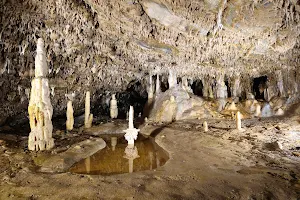 Sloupsko-šošůvské jeskyně image