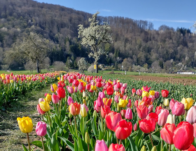 Blumen zum selberpflücken