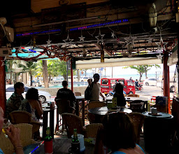 Dolphin Bar photo
