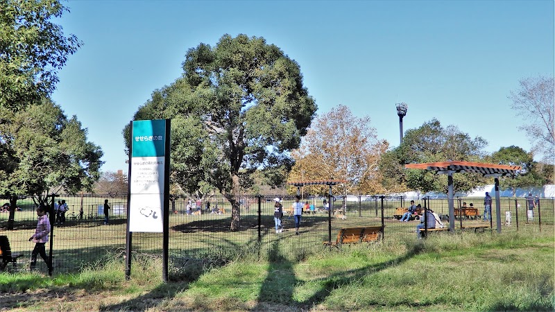 しおさいドッグラン 東京都大田区東海 犬専用公園 公園 グルコミ