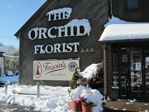 Florist «The Orchid Florist», reviews and photos, 1 Chase Ave, Waterbury, CT 06704, USA