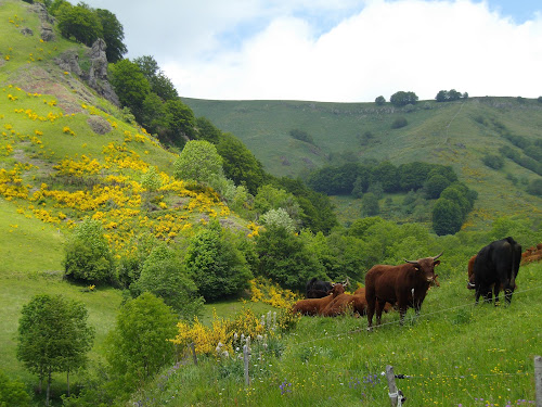 Clévacances Cantal à Aurillac