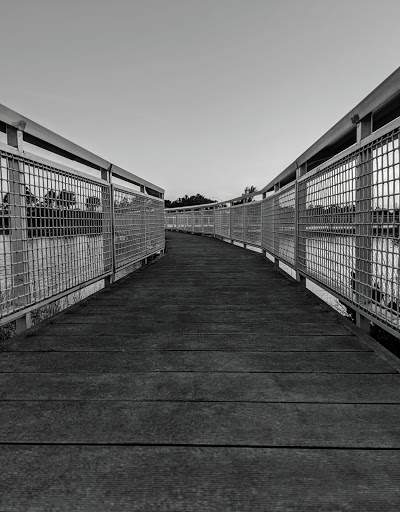 Park «Miramar Pineland Park», reviews and photos, 3600 S University Dr, Miramar, FL 33025, USA