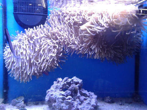 Pet Supply Store «Petco Animal Supplies», reviews and photos, 5975 20th St, Vero Beach, FL 32966, USA