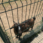 Photo n°10 de l'avis de Antonino.i fait le 10/04/2023 à 10:56 sur le  Agriturismo La Contea del Vignolo Fiorito à Graffignana