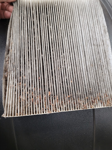 Auto Repair Shop «Consaul Auto Care», reviews and photos, 252 Consaul Rd, Albany, NY 12205, USA