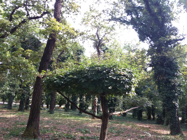Czabai-kert - Parkoló
