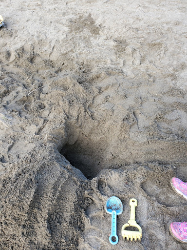 Park «Salmon Bay Park», reviews and photos, 2001 NW Canoe Pl, Seattle, WA 98117, USA