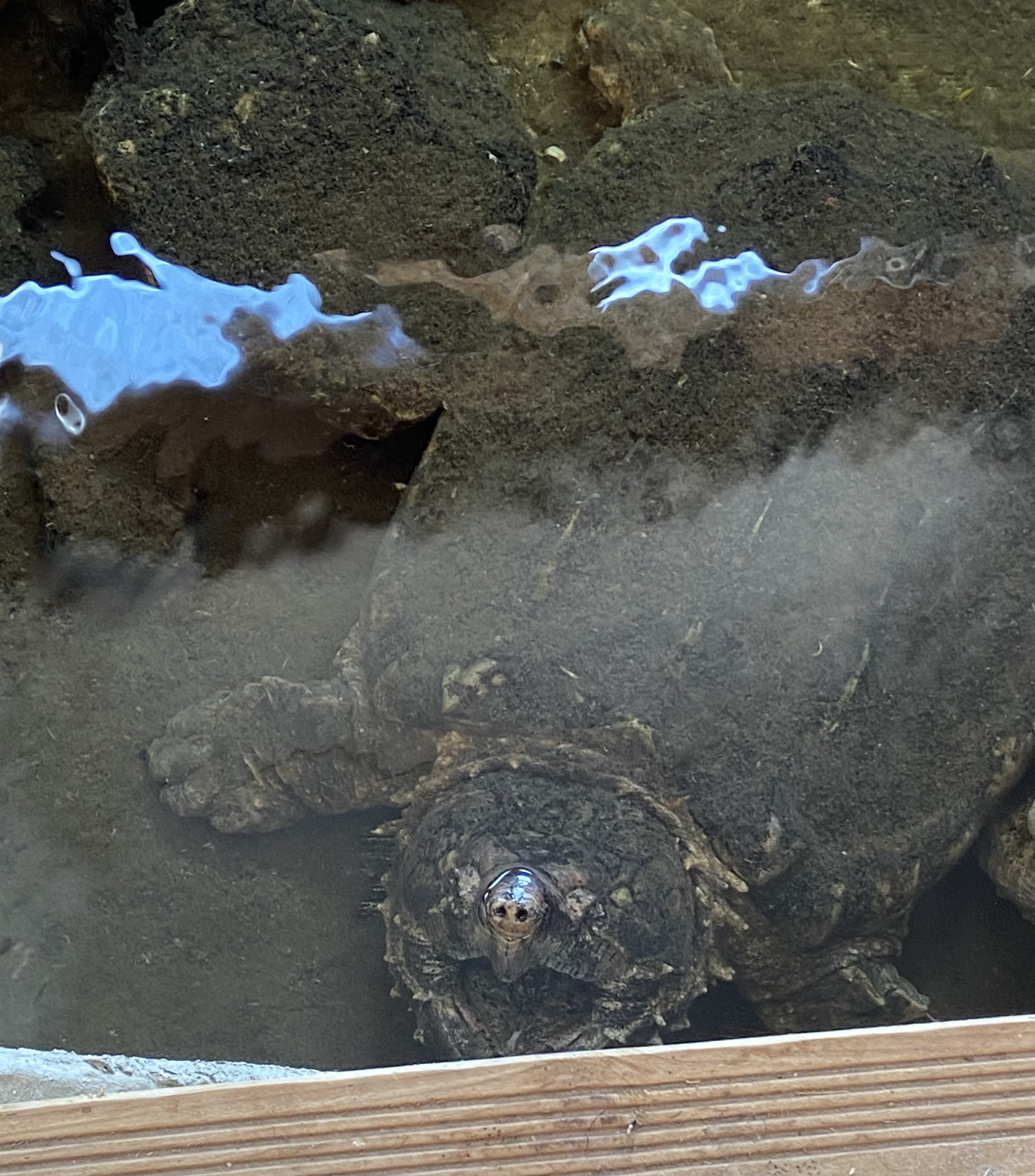 Photo n° 7 de l'avis de Sarah. fait le 17/08/2023 à 11:29