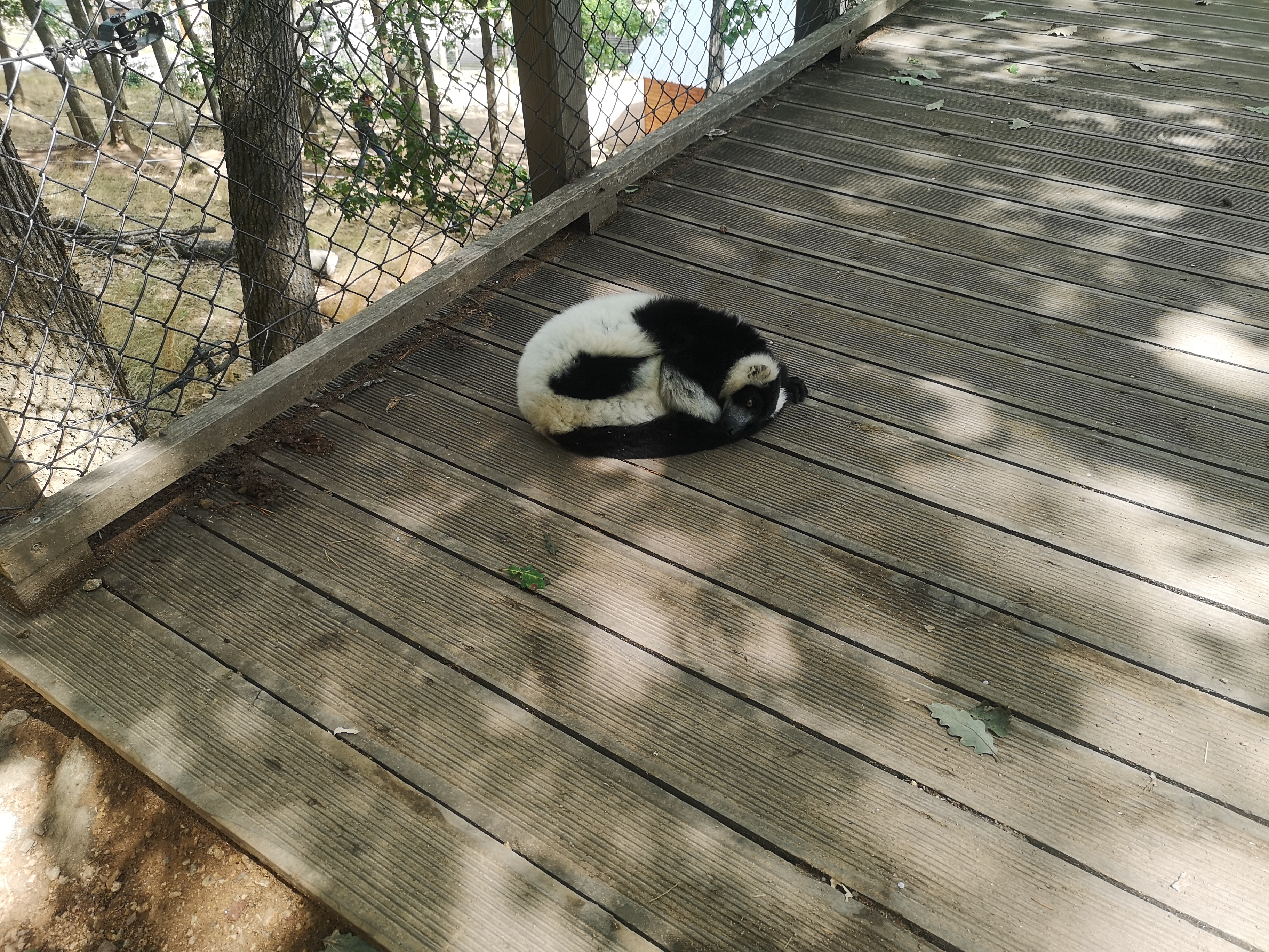 Photo n° 9 de l'avis de Stephanie.a fait le 16/08/2019 à 20:29