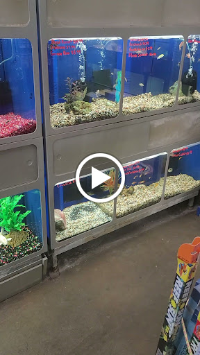 Pet Store «Southside Aquatics», reviews and photos, 2039 Pleasanton Rd, San Antonio, TX 78221, USA