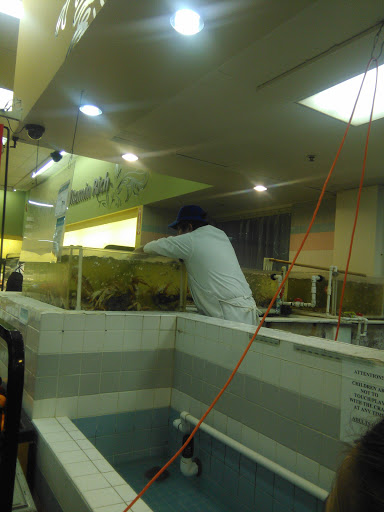 Asian Grocery Store «99 Ranch Market», reviews and photos, 6450 Sepulveda Blvd, Van Nuys, CA 91411, USA